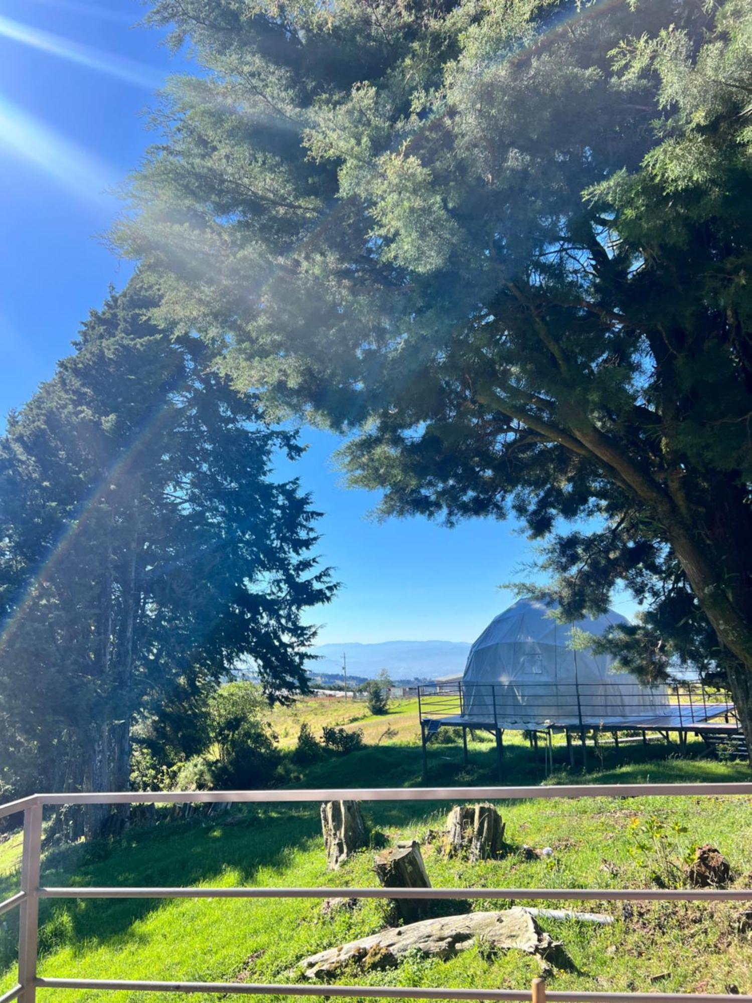 Green Noise Glamping Fraijanes المظهر الخارجي الصورة