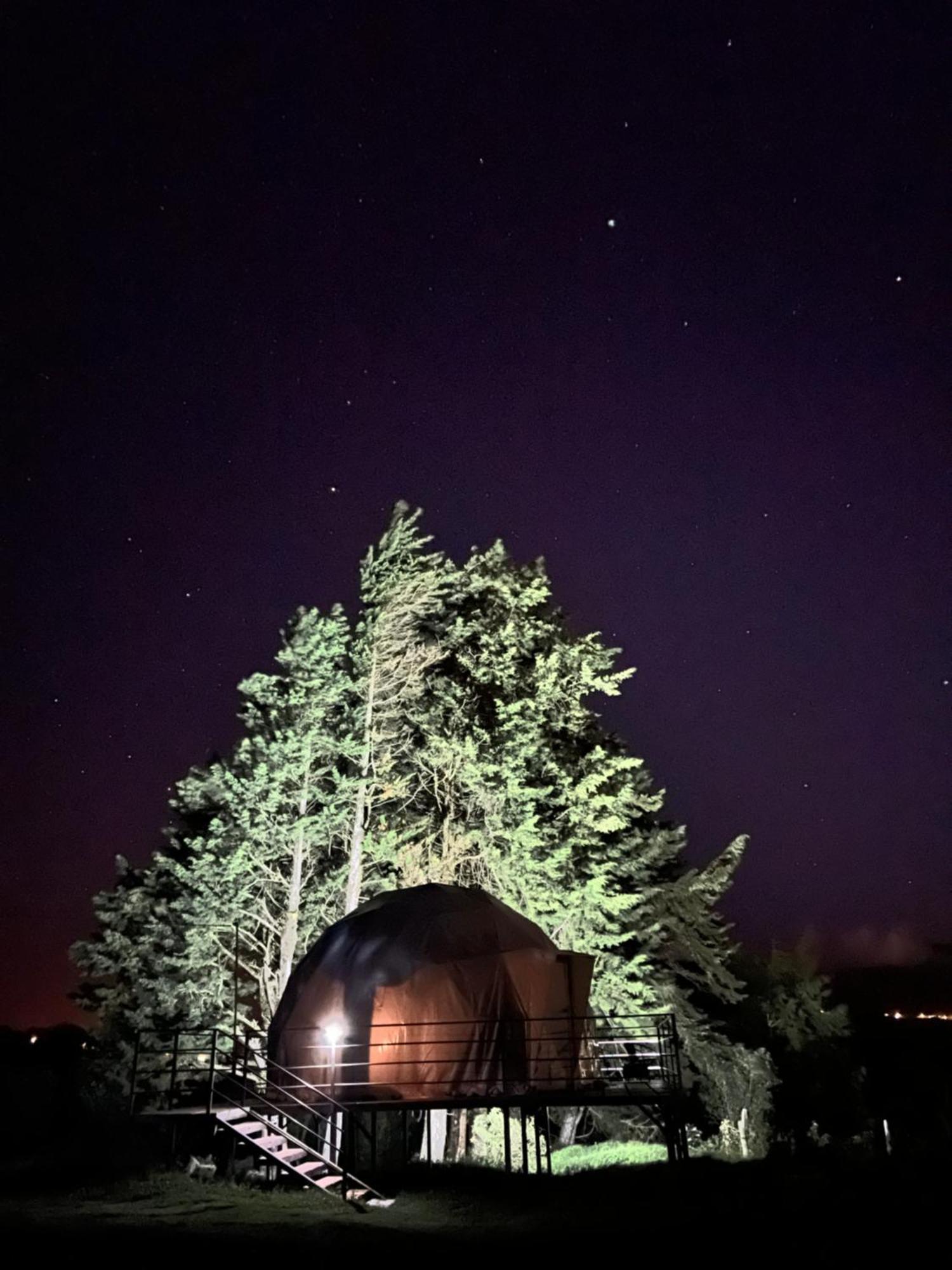 Green Noise Glamping Fraijanes المظهر الخارجي الصورة